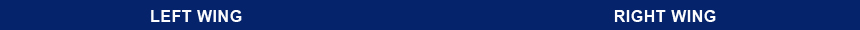 Ostynn For America - Left Wing / Right Wing