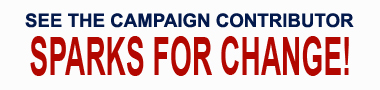 Ostynn For America - Sparks for Change!